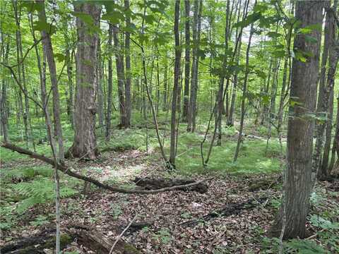 0 29 1/2 Avenue Street, Birchwood, WI 54817