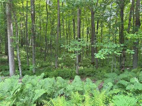 0 29 1/2 Avenue Street, Birchwood, WI 54817