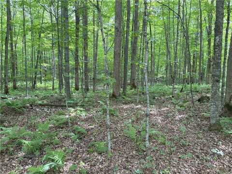 0 29 1/2 Avenue Street, Birchwood, WI 54817