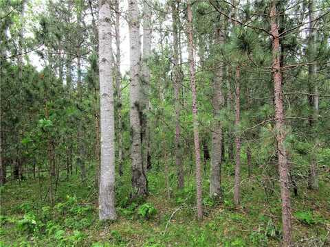Bridle Road lot: 111 & 112, Webster, WI 54893