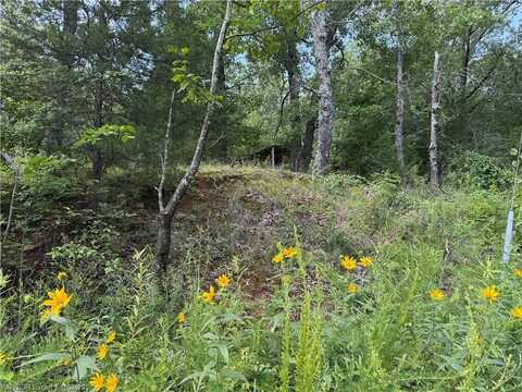 TBD Tower, Gans, OK 74936