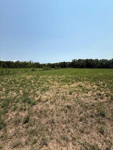 Valle Lindo Drive, Peralta, NM 87042