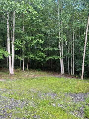 0 Chestnut Drive, PRINCETON, WV 24739