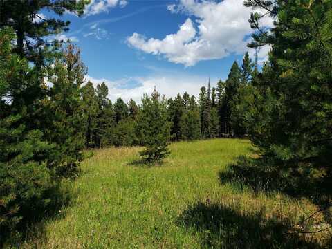 Foxwood Road lot: 98, Helmville, MT 59843
