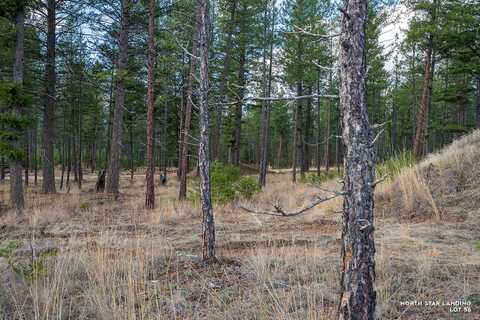 Dropping Draw lot: 56, Eureka, MT 59917