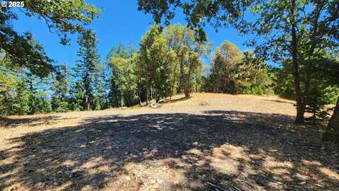 675 PANORAMA LN, Roseburg, OR 97471