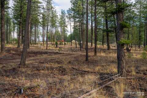 Basin Bend lot: 49, Eureka, MT 59917