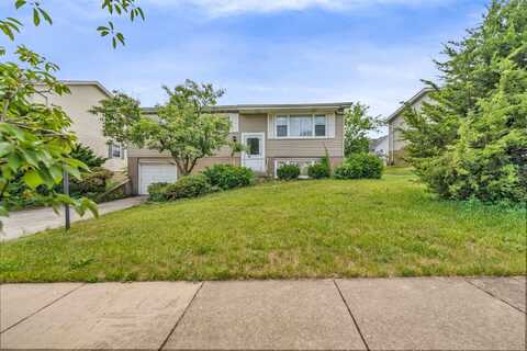 9113 Sycamore Drive, Hickory Hills, IL 60457