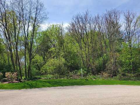 16149 Scenic Court, Wadsworth, IL 60083