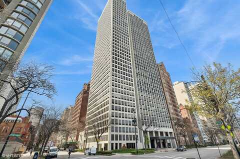 1100 N Lake Shore Drive, Chicago, IL 60611