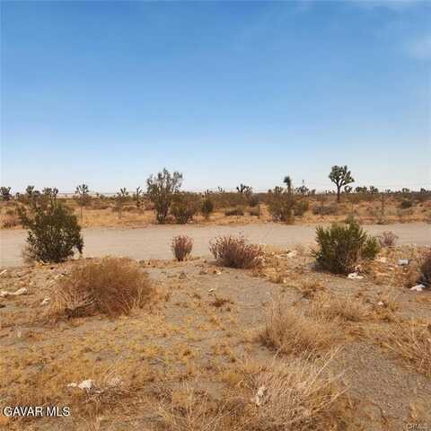 1595 La Mesa Road, Pinon Hills, CA 92372