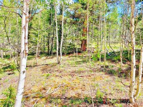 224 APACHE TRAIL, Como, CO 80432