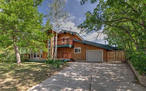 1430 BLUE SPRUCE COURT, Steamboat Springs, CO 80487