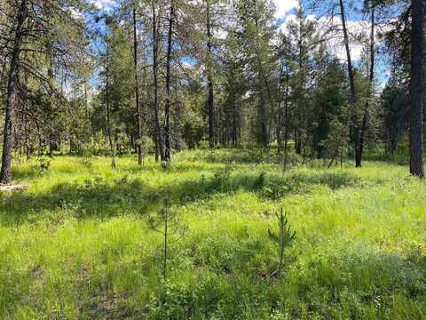 W Montgomery Rd, Deer Park, WA 99006