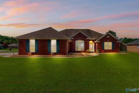 51 Lyle Drive, Decatur, AL 35603
