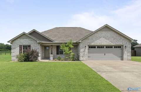 28329 Ferguson Lane, Toney, AL 35773