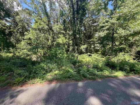 11.7 Slicklizzard Road, Nauvoo, AL 35578