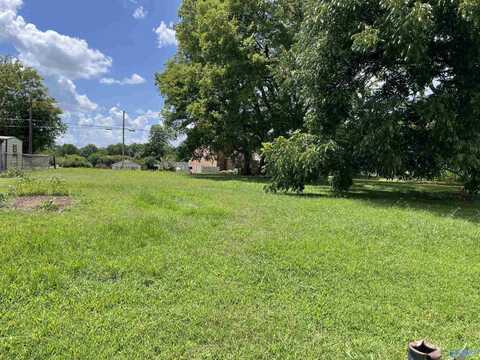 00206134001006. Memorial Drive NW, Decatur, AL 35601