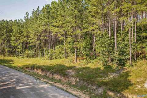 5.8 Pine Hills Way, Piedmont, AL 36272