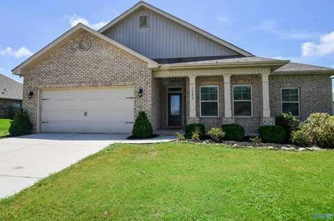 14426 Water Stream Drive, Harvest, AL 35749