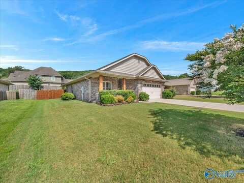 2906 Blossom Park Drive, Owens Cross Roads, AL 35763