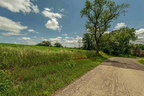 Lot 10 29.3 Acres Hefty Road, Monticello, WI 53570