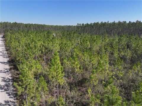 0 Tract 9 Hwy 341 Road, Odum, GA 31555
