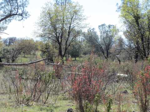Battleview Dr, Manton, CA 96059