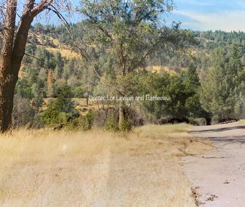 Battleview Dr, Manton, CA 96059