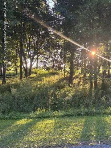 0 Oakridge Trail, Perrinton, MI 48871