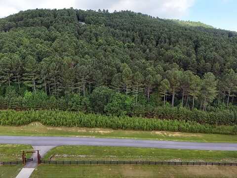 Lot 42 Thirteen Hundred, Blairsville, GA 30512