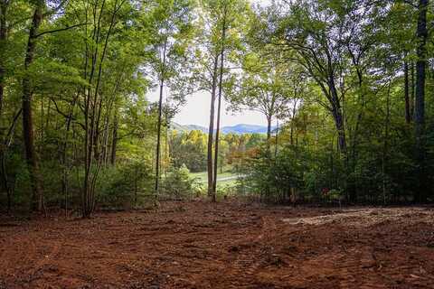 Cottonwood Lane, Blue Ridge, GA 30513