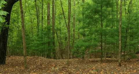 2551 Frigate Drive, Ellijay, GA 30540