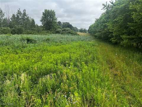 5913 Stuckey Road, Creston, OH 44217