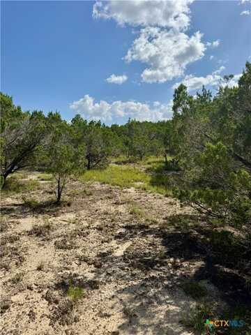 1671 Noble Trail, Canyon Lake, TX 78133