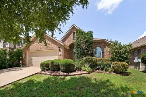 131 Lacebark Lane, Buda, TX 78610