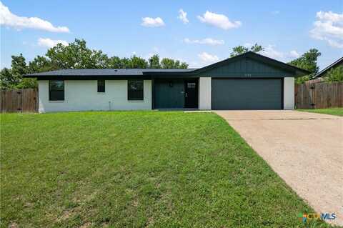 1101 E Floradale Drive, Austin, TX 78753