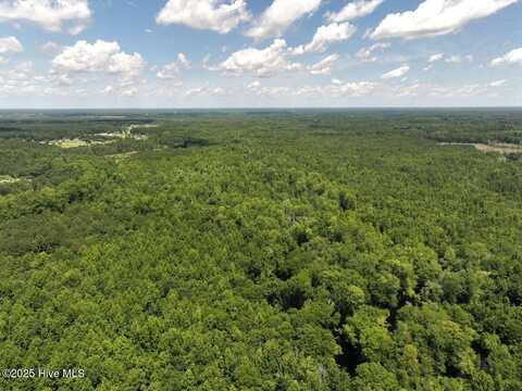 5799 Tolarsville Road, Saint Pauls, NC 28384