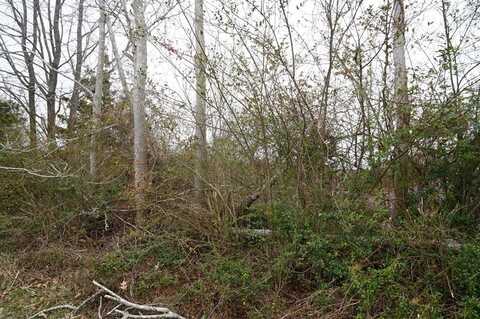 1225 Tobacco Road, Nathalie, VA 24577