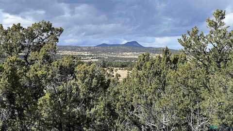 Mountain View Road, Pie Town, NM 87827