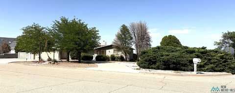 2310 W Cerro Road, Artesia, NM 88210
