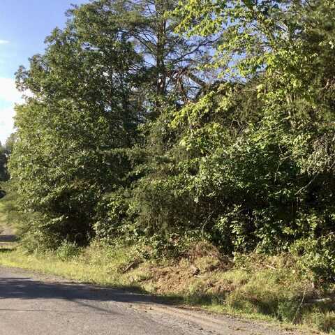 Pine Lake Road, Battle Creek, MI 49014