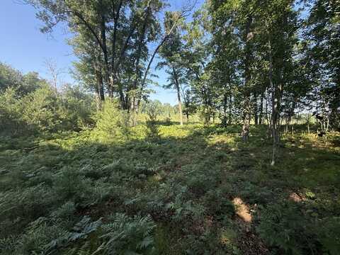 Tbd W Royal Road, Stanwood, MI 49346