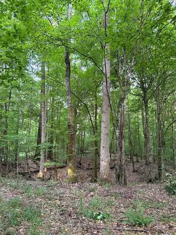 8145 Gordon Station Rd, Port Gibson, MS 39150