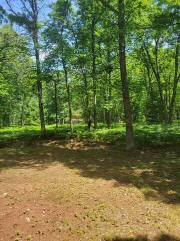 Star Acres Drive, Baldwin, MI 49304
