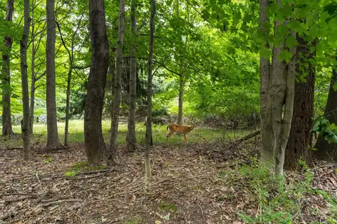 Creekwood 56, South Haven, MI 49090