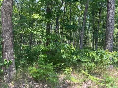 Vl Cleveland Drive, Bitely, MI 49309