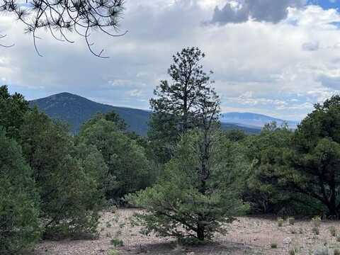 Lot 56 Upper Pinabete, Questa, NM 87556