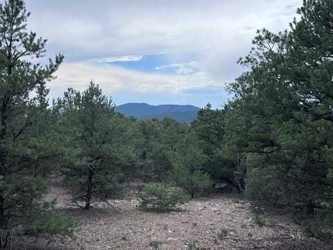 Lot 62 Upper Pinabete, Questa, NM 87556