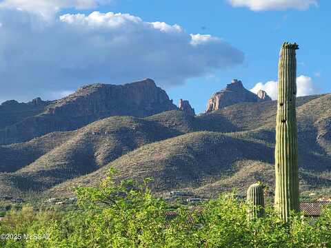 4480 N Bonanza Avenue, Tucson, AZ 85749